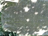 image of grave number 758523